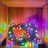 Multi Color LED Big Rice String Light ( 30 feet )